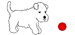 puppy